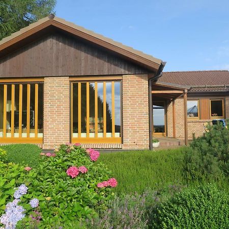 Ferienhaus Sonne, Harz Und Sterne Villa Hohegeiß Dış mekan fotoğraf