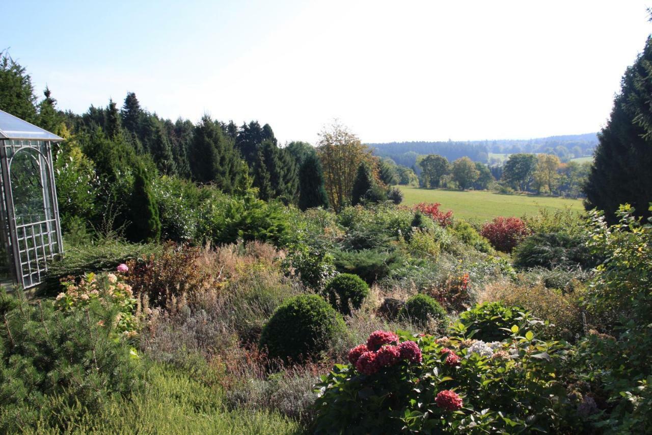 Ferienhaus Sonne, Harz Und Sterne Villa Hohegeiß Dış mekan fotoğraf