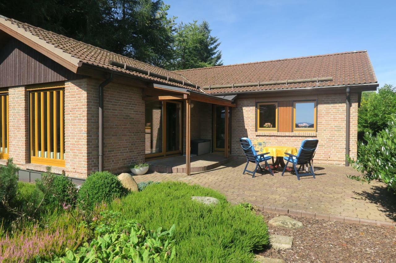 Ferienhaus Sonne, Harz Und Sterne Villa Hohegeiß Dış mekan fotoğraf