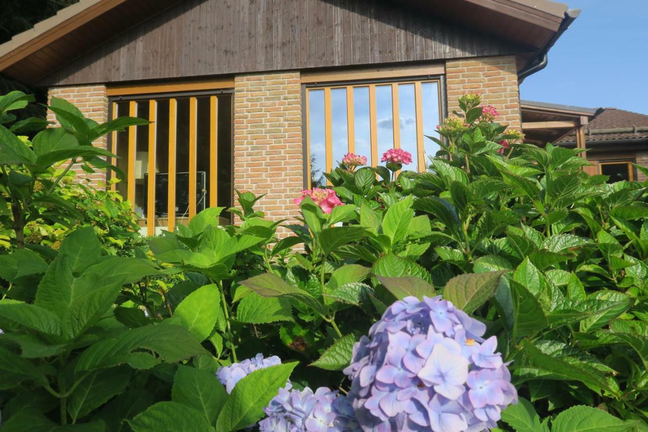 Ferienhaus Sonne, Harz Und Sterne Villa Hohegeiß Dış mekan fotoğraf